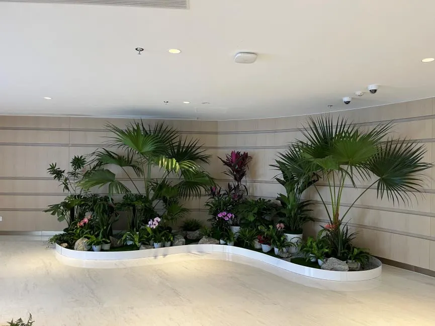 镇海花卉租摆方案来袭，为空间增添别样生机